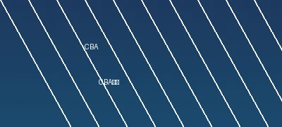 CBA中国职业篮球联赛